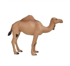 Dromedaris Mojo 387113 -Dierenmodel Speelgoed Winkel 0091268aa42e2adec2a31d5840e1da8cb12d1f58