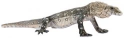 Perentie (Monitor Lizard) SR 00018