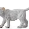 Leeuw Witte Welp CollectA 88551