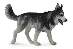 Siberische Husky CollectA 88707