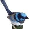 Blue Wren 75384