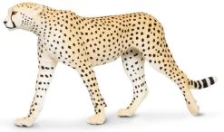 Cheetah XXL S112889