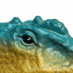 Spinosaurus Safari 100825 -Dierenmodel Speelgoed Winkel 0d9199f8b0f72bfb12c3aa79cc23e36521fe2fc5