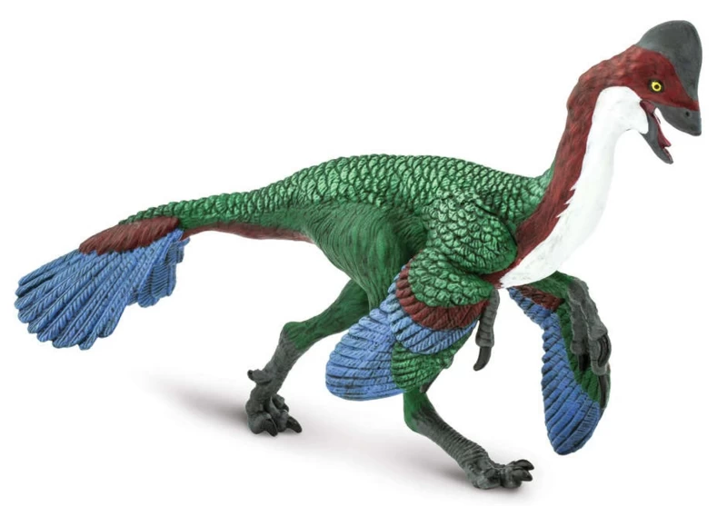 Anzu Wyliei Safari 100151 1 Anzu Wyliei Safari 100151