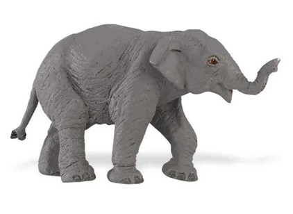 Olifant Aziatische Kalf S222329 1 Olifant Aziatische Kalf S222329
