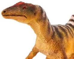 Concavenator Safari 100355 -Dierenmodel Speelgoed Winkel 119524b3382e2bc3d55893d4ec0b667c23f6294c