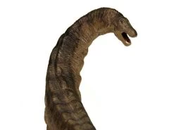 Apatosaurus Papo 55039 -Dierenmodel Speelgoed Winkel 12e98098e136848caf7987f4c67b2aeab1a36920