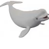 Beluga CollectA 88568