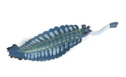 Opabinia Regalis