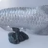 Arowana Zilverkleurig