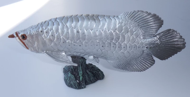 Arowana Zilverkleurig 1 Arowana Zilverkleurig