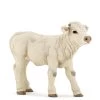 Charolais Kalf Papo 51157