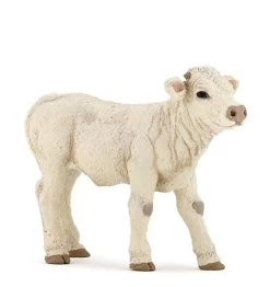 Charolais Kalf Papo 51157