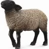 Schaap Suffolk CollectA 88636