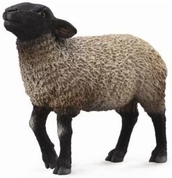 Schaap Suffolk CollectA 88636