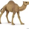 Dromedaris Papo 50151