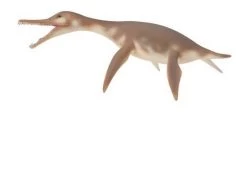 Dolichorhynchops CollectA 88520