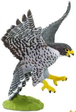 Slechtvalk S100094 -Dierenmodel Speelgoed Winkel 1ca48e37379894abdc713fba721b9b26dce42612