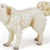Pyrenese Hond Papo 54044