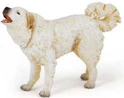 Pyrenese Hond Papo 54044