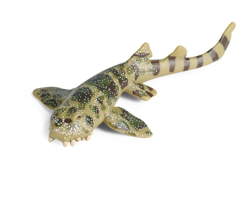 Wobbegong (bakerhaai) 1 Wobbegong (bakerhaai)