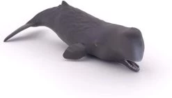 Potvis Kalf Papo 56045 -Dierenmodel Speelgoed Winkel 24f9e307dfb867765e3aabbc49d1b5fc722dba04