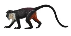 Dianameerkat CollectA 88673