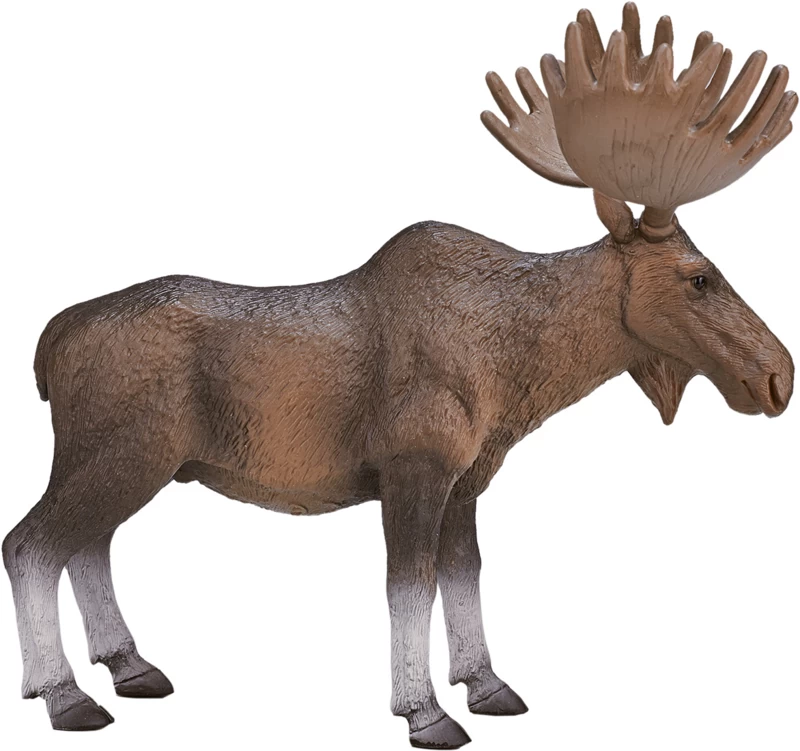 Eland Mojo 387023 2 Eland Mojo 387023 - Afbeelding 2