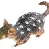 Quoll 75381