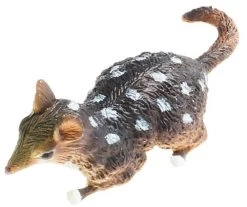 Quoll 75381