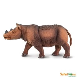 Neushoorn Sumatraanse S100103