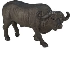 Kaapse Buffel Mojo 387111