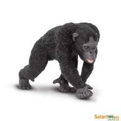 Chimpansee S224729