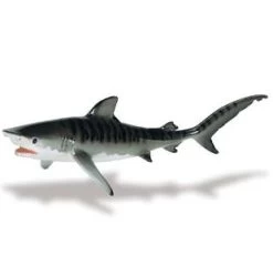 Tijgerhaai (Serie Monterey Bay Aquarium)