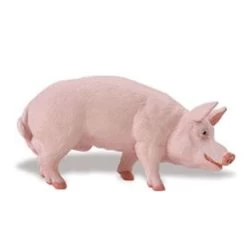 Varken Beer Safari 235229