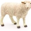 Merino Schaap 51041