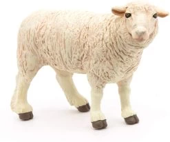 Merino Schaap 51041