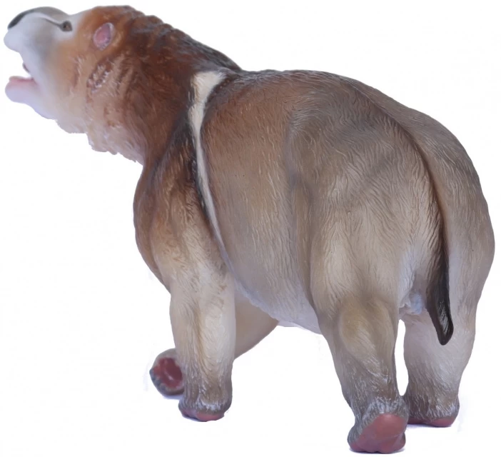 Diprotodon Southland Replicas 4 Diprotodon Southland Replicas - Afbeelding 4