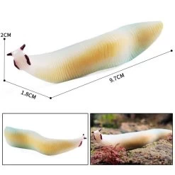 Pikaia (Midden Cambrium)