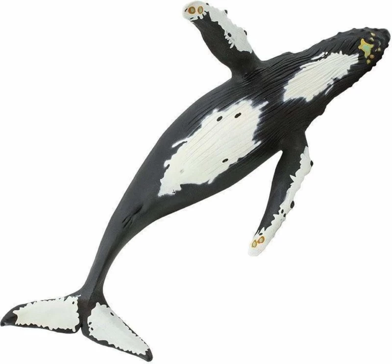 Bultrug (Serie Monterey Bay Aquarium) S210002 2 Bultrug (Serie Monterey Bay Aquarium) S210002 - Afbeelding 2