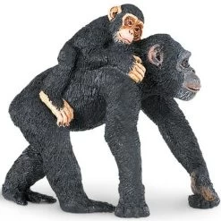 Chimpansee Met Jong S295929