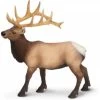 Wapiti Stier S180329