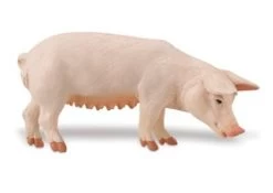 Varken Zeug Safari 161029