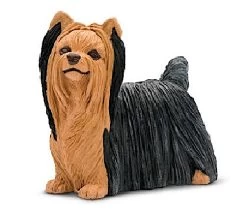 Yorkshire Terrier S250929