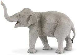 Olifant Aziatisch S227529