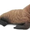 Walrus Kalf CollectA 88570