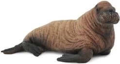 Walrus Kalf CollectA 88570