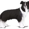 Border Collie CollectA 88010