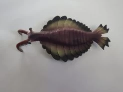 Anomalocaris (Cambrium) -Dierenmodel Speelgoed Winkel 3ddf1774a86992636fe0e5bb26b7962a476449bb