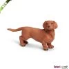 Teckel (Dachshund) S251529